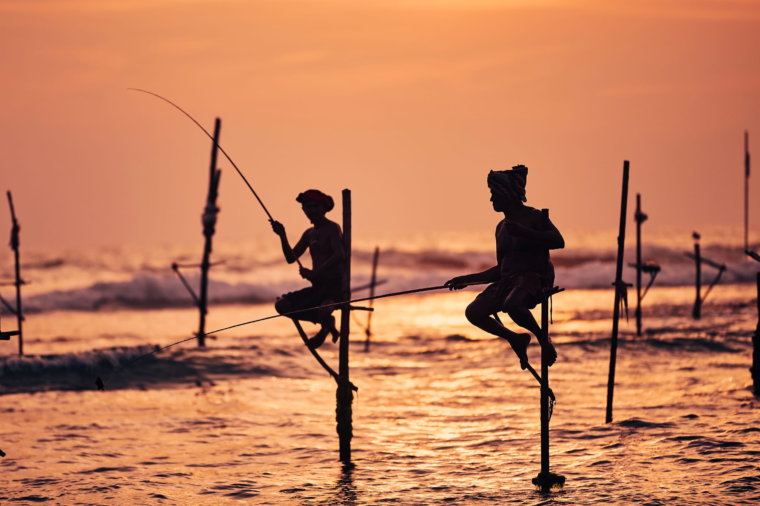 The Magic of Sri Lanka